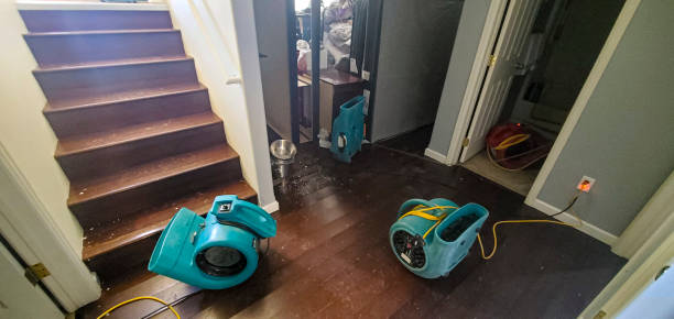 Best Professional water damage repair  in Harvey, MI