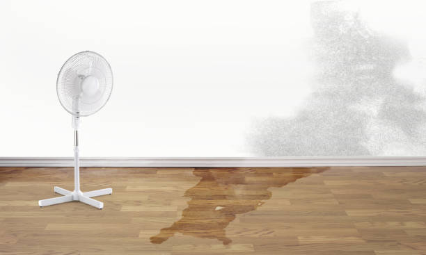 Best Ceiling water damage repair  in Harvey, MI