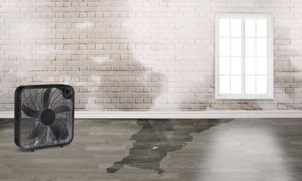 Best Sewage cleanup and water damage restoration  in Harvey, MI