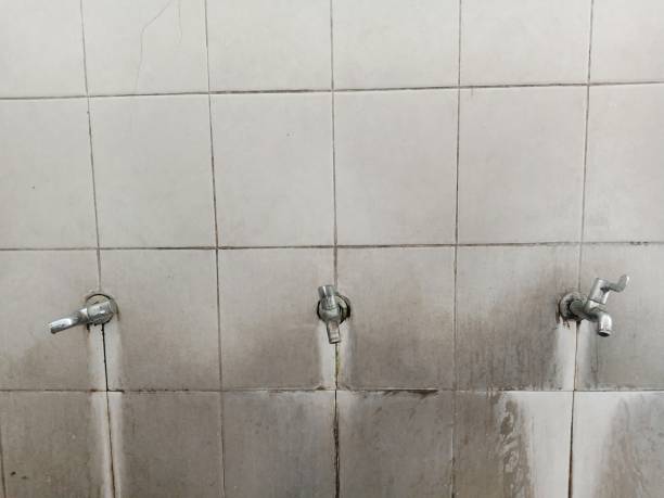 Best Water damage contractors near me  in Harvey, MI