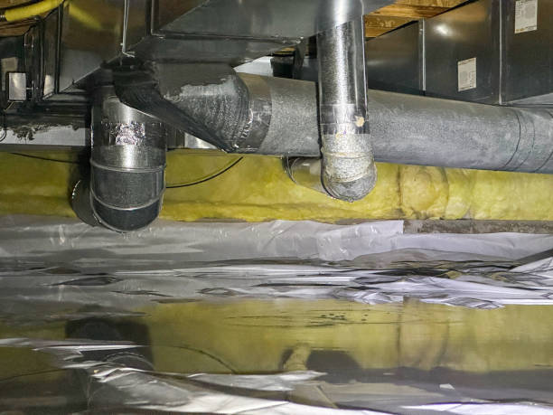 Best Water damage restoration near me  in Harvey, MI