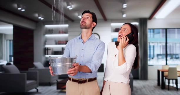 Best Residential water damage restoration  in Harvey, MI