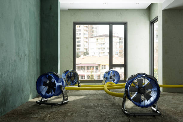 Best Professional water damage repair  in Harvey, MI